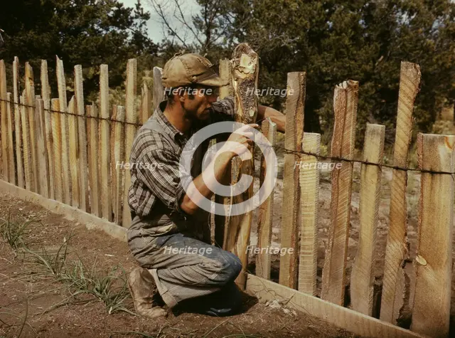 Jack Whinery, homesteader, repairing fence which he built with slabs, Pie Town, New Mexico, 1940. Creator: Russell Lee.