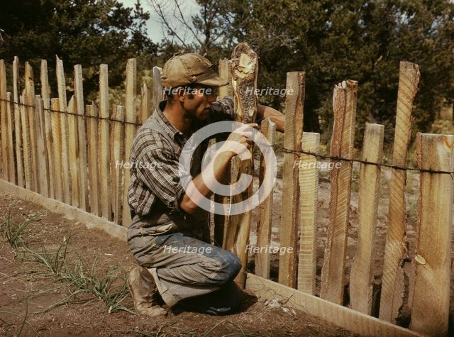 Jack Whinery, homesteader, repairing fence which he built with slabs, Pie Town, New Mexico, 1940. Creator: Russell Lee.