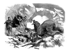 Jack Curling's narrow escape from a ferocious bear, 1855