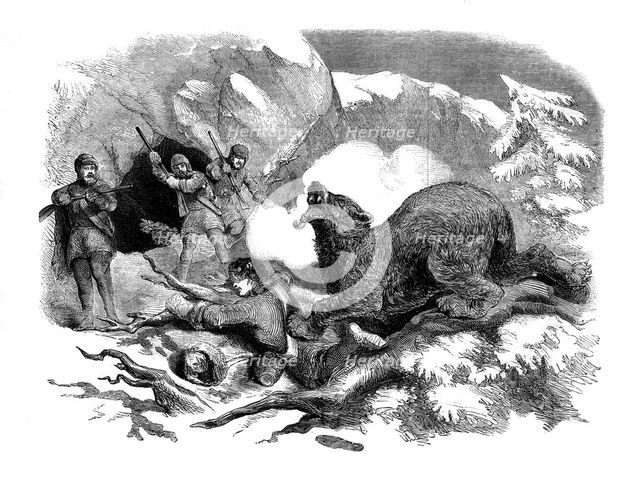 Jack Curling's narrow escape from a ferocious bear, 1855. Artist: Unknown