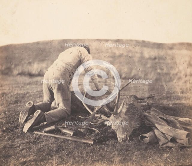 Jack Gralloching a Stag, ca. 1856-58. Creator: Horatio Ross.