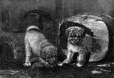 "Jack in the Box," by H. H. Couldery, 1870. Creator: Unknown