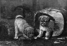 "Jack in the Box," by H. H. Couldery, 1870. Creator: Unknown