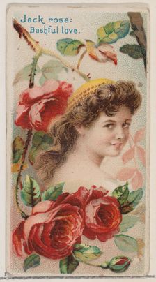 Jack Rose: Bashful Love, from the series Floral Beauties and Language of Flowers (N75) for..., 1892. Creator: Donaldson Brothers