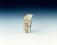 Jade fitting with tortoise belching clouds, Yuan or early Ming dynasty, China, 14th-15th century. Creator: Unknown