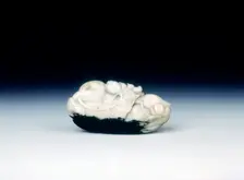 Jade pebble of two mandarin ducks on a bed of waves, late Ming dynasty, China, 1550-1644. Creator: Unknown