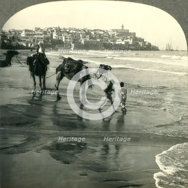 'Jaffa, the Joppa of Bible Times, Palestine', c1930s. Creator: Unknown.