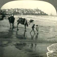 Jaffa, the Joppa of Bible Times, Palestine c1930s. Creator: Unknown
