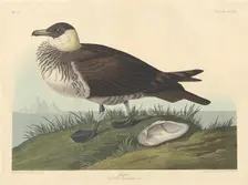 Jager, 1835. Creator: Robert Havell