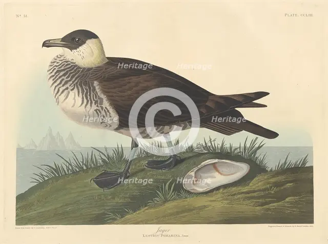 Jager, 1835. Creator: Robert Havell.