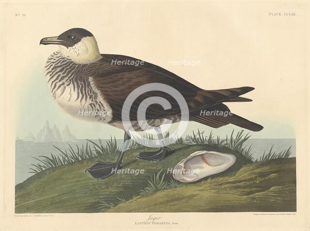 Jager, 1835. Creator: Robert Havell.