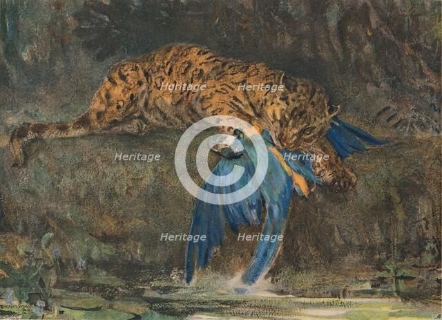 'Jaguar and Macaw', late 19th century. Artist: John MacAllan Swan.