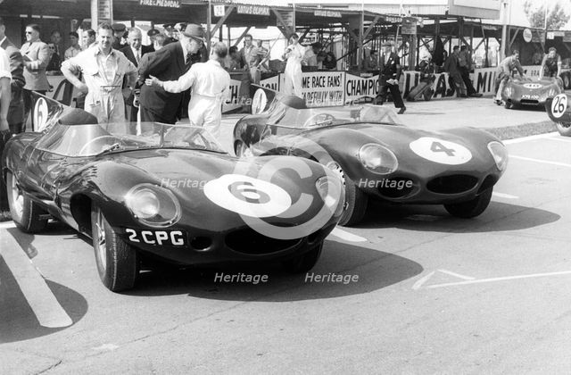 Jaguar D types in the paddock, RAC Tourist Trophy, Goodwood, Sussex, 1958. Creator: Unknown.