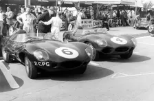 Jaguar D types in the paddock, RAC Tourist Trophy, Goodwood, Sussex, 1958. Creator: Unknown