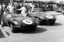 Jaguar D types in the paddock, RAC Tourist Trophy, Goodwood, Sussex, 1958. Creator: Unknown