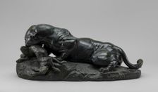 Jaguar Devouring a Hare, model 1850, cast by 1874. Creator: Antoine-Louis Barye
