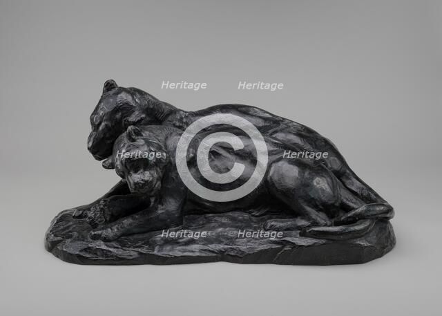 Jaguar Lovers, 1888. Creator: Edward Kemeys.