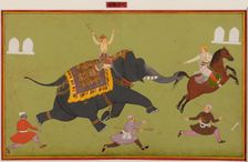 Jai Singh’s elephant Pakhrao, gone amuck and catches a horse by the tail, c. 1680. Creator: Unknown