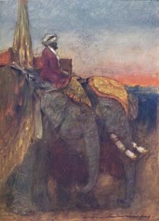 Jaipur Elephants 1903. Artist: Mortimer L Menpes