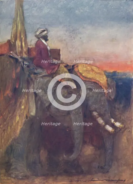 'Jaipur Elephants', 1903. Artist: Mortimer L Menpes.