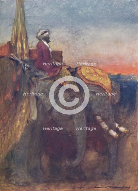 'Jaipur Elephants', 1903. Artist: Mortimer L Menpes.