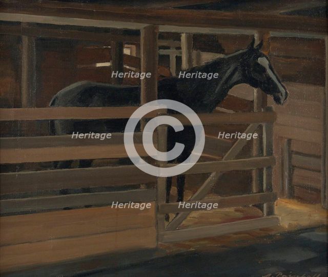 Jallu the black horse in his stall, 1929. Creator: Alexander Paischeff.