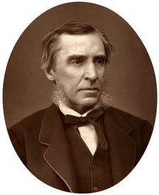 James Anthony Froude, British historian, 1876.Artist: Lock & Whitfield