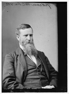 James Baird Weaver of Iowa, between 1870 and 1880. Creator: Unknown