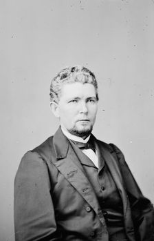 James Falconer Wilson of Iowa, between 1855 and 1865. Creator: Unknown