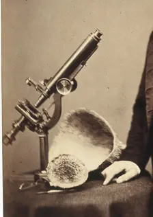 James Scott Bowerbank. Creator: Unknown