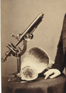 James Scott Bowerbank. Creator: Unknown