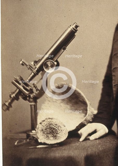 James Scott Bowerbank. Creator: Unknown.