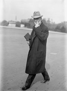 James R. Mann, Rep. from Illinois, 1913. Creator: Harris & Ewing