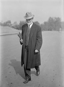 James R. Mann, Rep. from Illinois, 1913. Creator: Harris & Ewing