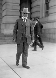 James R. Mann, Rep. from Illinois, 1913. Creator: Harris & Ewing