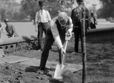 James R. Mann, Rep. from Illinois, Planting Tree At Capitol, 1912. Creator: Harris & Ewing