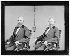 James Wallace Robinson of Ohio, 1865-1880. Creator: Unknown