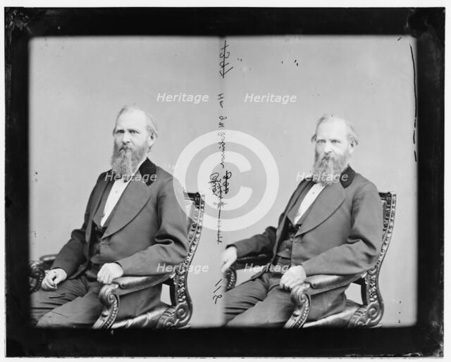 James Wallace Robinson of Ohio, 1865-1880. Creator: Unknown.