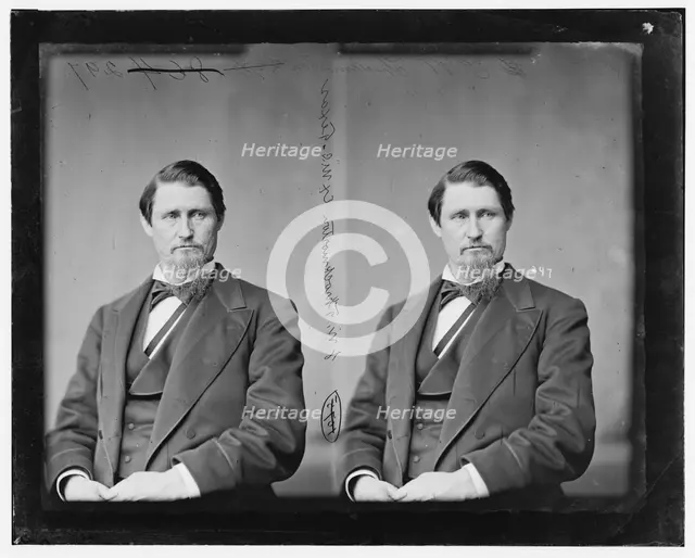 James Webb Throckmorton of Texas, 1865-1880.  Creator: Unknown.