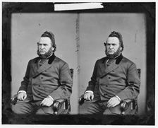 James Willis Nesmith of Oregon, between 1865 and 1880. Creator: Unknown