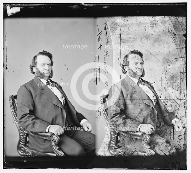 James Willis Nesmith of Oregon, between 1865 and 1880. Creator: Unknown.