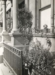 Janitor apartment. 137 East 30th Street, New York, New York, c1922. Creator: Frances Benjamin Johnston