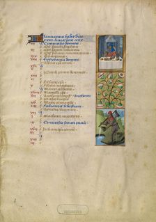 January Calendar Page; Feasting; Aquarius; Katherine Hours, about 1480-1485. Creator: Unknown