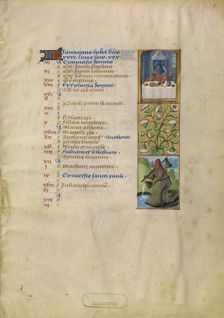 January Calendar Page; Feasting; Aquarius; Katherine Hours, about 1480-1485. Creator: Unknown