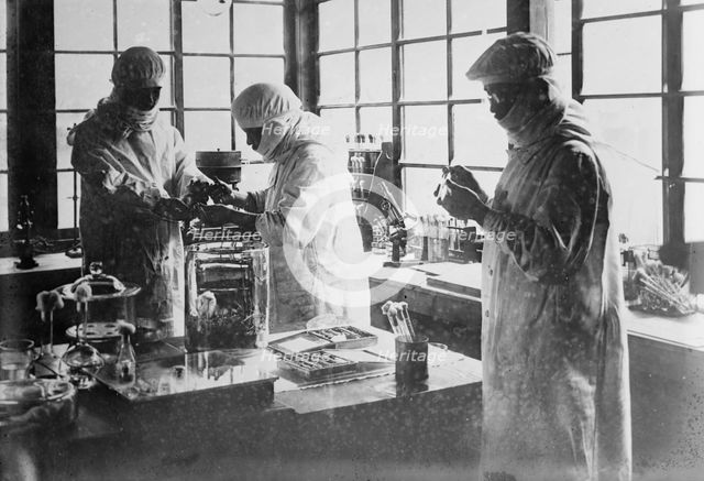 Japan - Injecting pest bacillus into rats, between c1915 and c1920. Creator: Bain News Service.