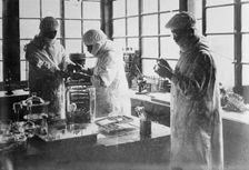 Japan - Injecting pest bacillus into rats, between c1915 and c1920. Creator: Bain News Service