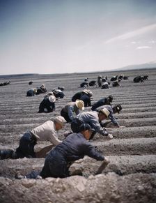 Japanese-American camp, war emergency evac...Tule Lake Relocation Center, Newell, CA, 1942 or 1943. Creator: Unknown