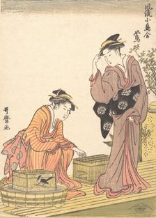 Japanese Bush Warbler, 1754-1806. Creator: Kitagawa Utamaro