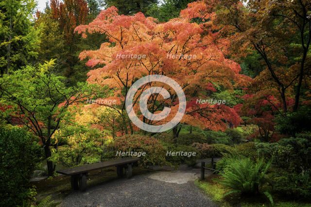 Japanese Gardens. Creator: Joshua Johnston.