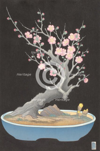 Japanese Dwarf Plum, 1928. Creator: Lillian May Miller.